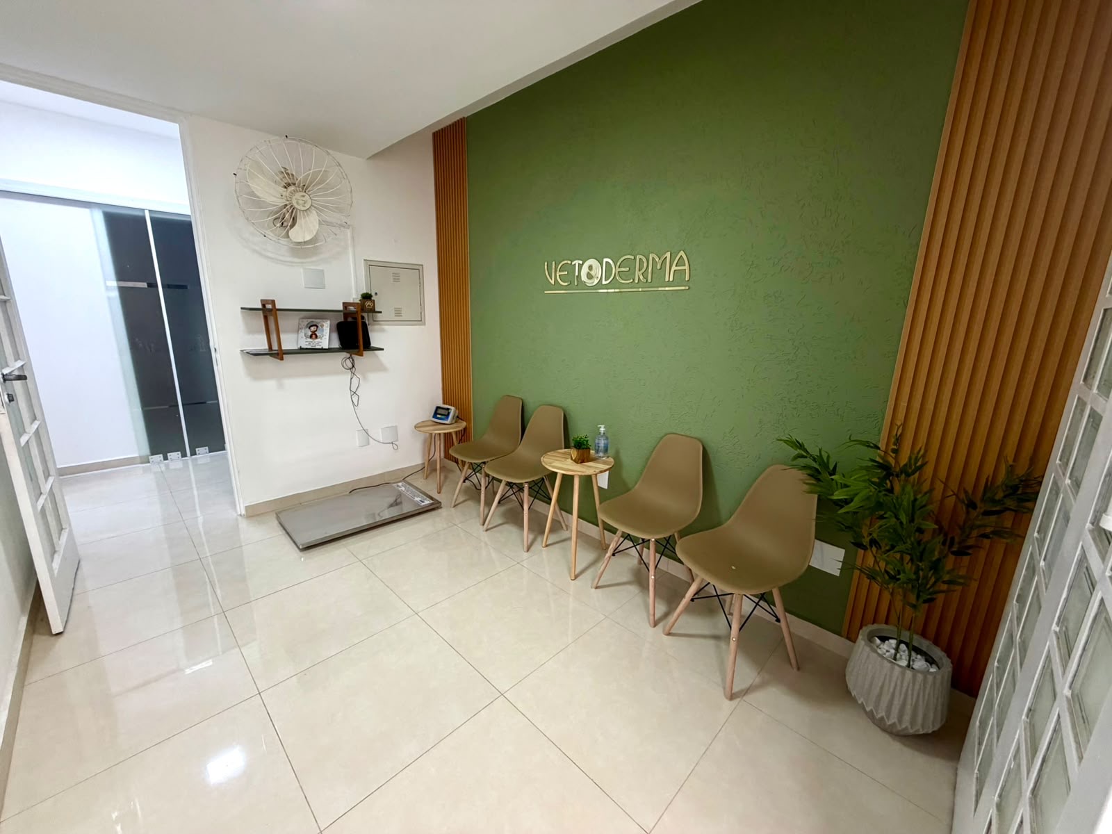 Recepção da Vet & Derma, com parede verde, marca da clínica e cadeiras
